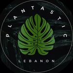 بلانتيستيك