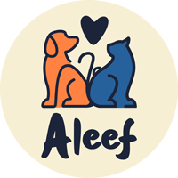 Aleef Corner