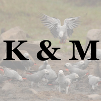 K And M Breeding