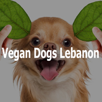 Vegan Dogs