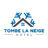 Tombe La Neige