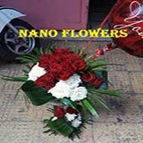 نانو فلورز