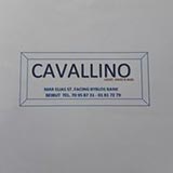 Cavallino