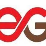 Enzawi Group