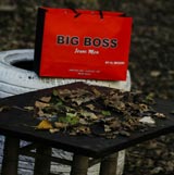 Big Boss 2