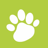 Pet Style