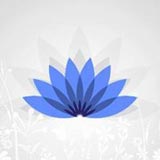 Lily Garden's