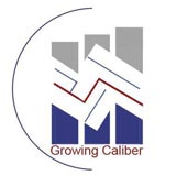 Ibrahim Halwaji Ammar Audit Firm