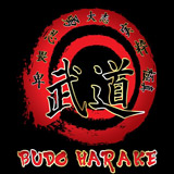 BUDO Harake Academy - Dahieh