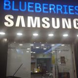 Blueberries