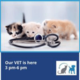 Pet House